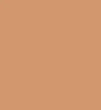 FireShot Capture 358 - #d2976d.png