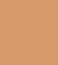 #d59969.png