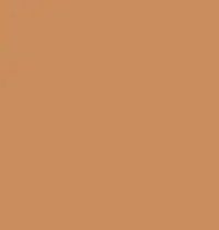 FireShot Capture 210 - #ca8d5e.png