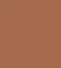 FireShot Capture 201 - #a26b4c.png