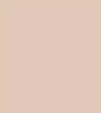 FireShot Capture 147 - #e0c9b9.png