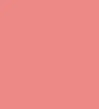 #ec8986.png