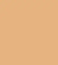 FireShot Capture 383 - #e7b381.png