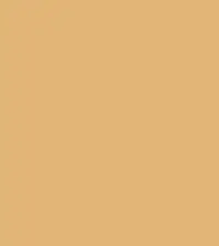 FireShot Capture 268 - #e1b576.png