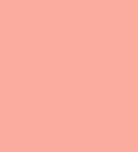 FireShot Capture 016 - #f9ac9a.png