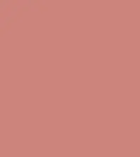 FireShot Capture 166 - #cc847c.png