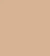 FireShot Capture 278 - #d7b393.png