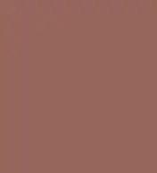 #96665d.png
