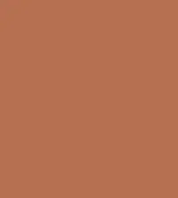 FireShot Capture 067 - #b66f51.png