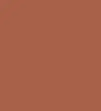 FireShot Capture 339 - #a86049.png