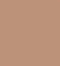 FireShot Capture 275 - #bb9276.png