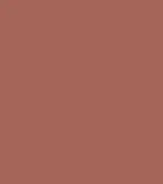 #a56559.png