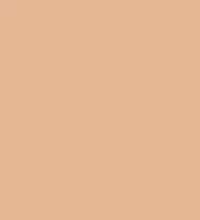 FireShot Capture 198 - #e5b694.png