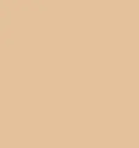 FireShot Capture 120 - #e4c19b.png