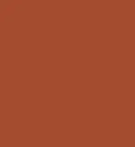 FireShot Capture 192 - #a54c2e.png