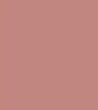 #c38681.png