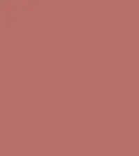 FireShot Capture 170 - #b76f69.png