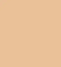 #eac098.png