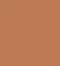 FireShot Capture 364 - #bb7a54.png