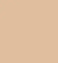 FireShot Capture 181 - #dfbe9d.png