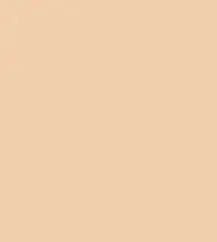 FireShot Capture 285 - #f0cfae.png