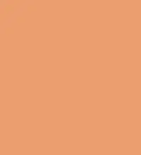FireShot Capture 260 - #ea9e6e.png