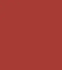 FireShot Capture 173 - #a73b34.png
