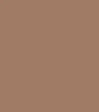 FireShot Capture 179 - #9f7b65.png