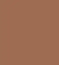 FireShot Capture 200 - #9e6c51.png