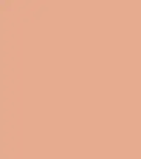 FireShot Capture 094 - #e6aa8e.png