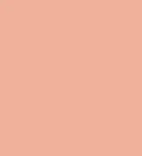 #f0b19b.png