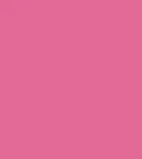 FireShot Capture 318 - #e26a97.png