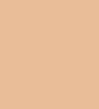 FireShot Capture 093 - #e9bd96.png