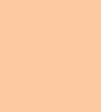 FireShot Capture 043 - #fdc8a0.png