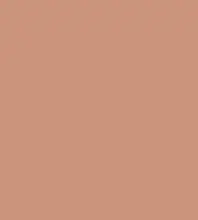FireShot Capture 191 - #cb947c.png