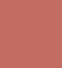 #c36c63.png