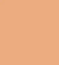 FireShot Capture 044 - #ebac80.png