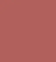 #b2605c.png