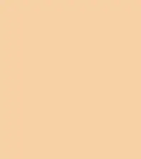 FireShot Capture 211 - #f7d1a4.png