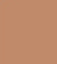 FireShot Capture 178 - #c0896a.png