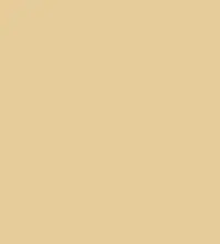 #e5cc99.png