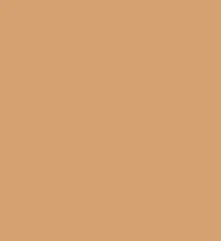 FireShot Capture 209 - #d6a071.png
