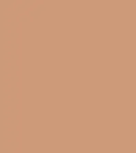 FireShot Capture 097 - #ce997a.png