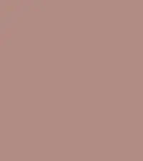 FireShot Capture 253 - #b18c84.png
