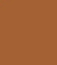 FireShot Capture 052 - #a46033.png