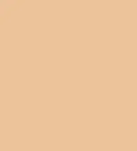 #ecc29a.png