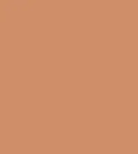 FireShot Capture 356 - #ce8e68.png