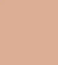 FireShot Capture 302 - #dcae94.png