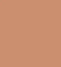 FireShot Capture 360 - #cb8e6f.png