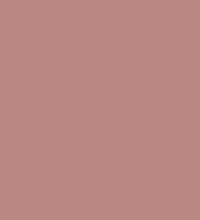#b98884.png